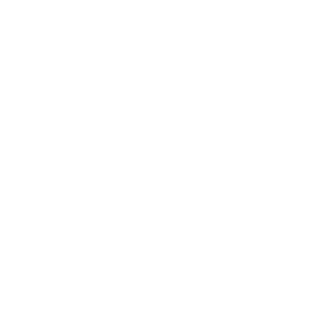 RAIZES
